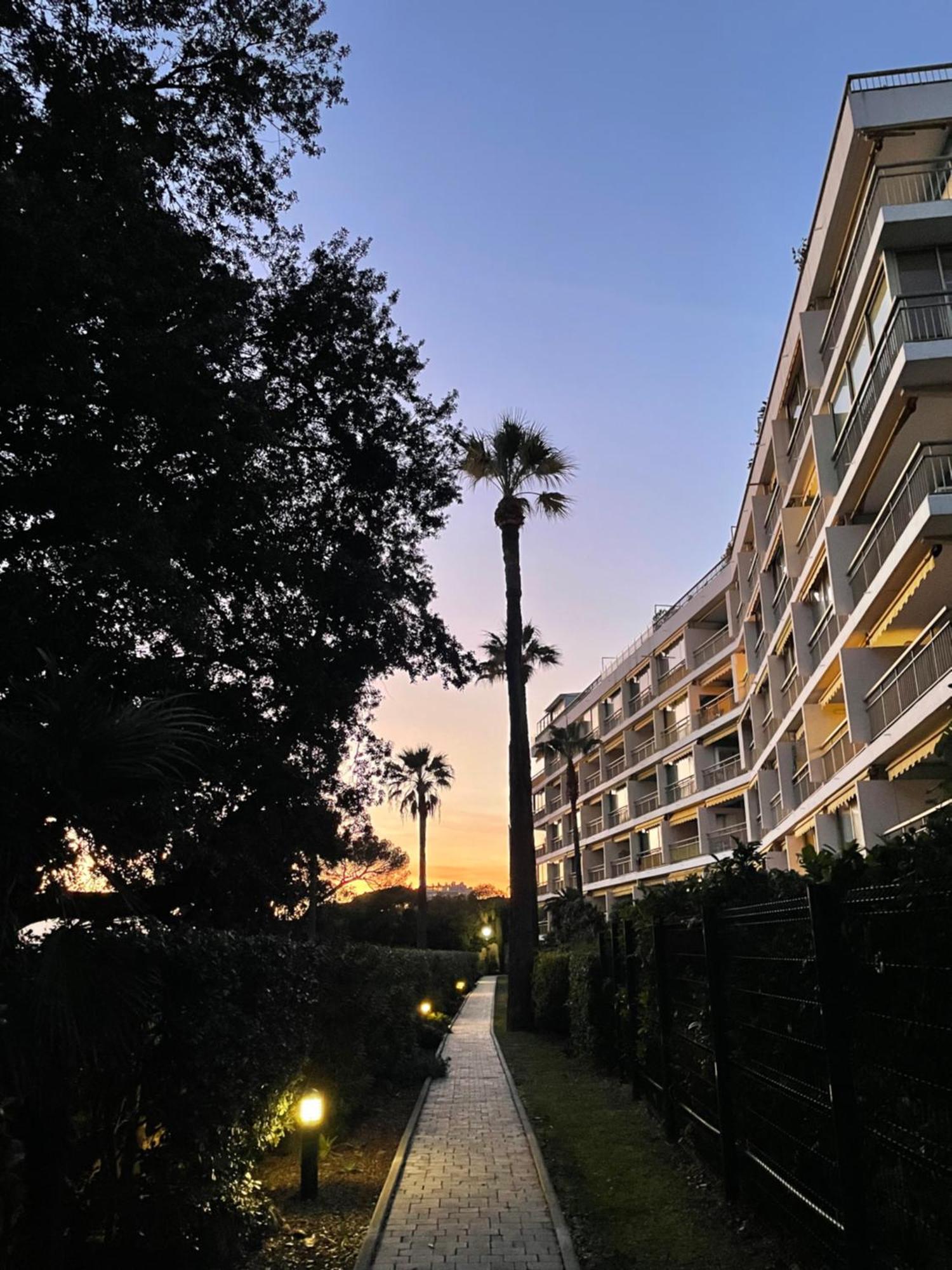C037-Nice Studio With Garden And Parking - Near Beach Cannes Eksteriør billede